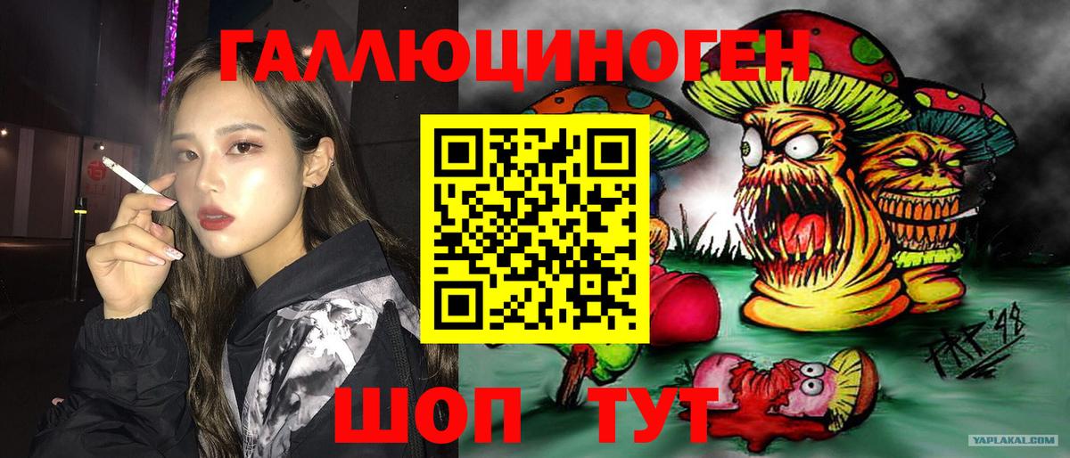 Моршанск  Галлюциногенные грибы прущие грибы  Вход с VPN 